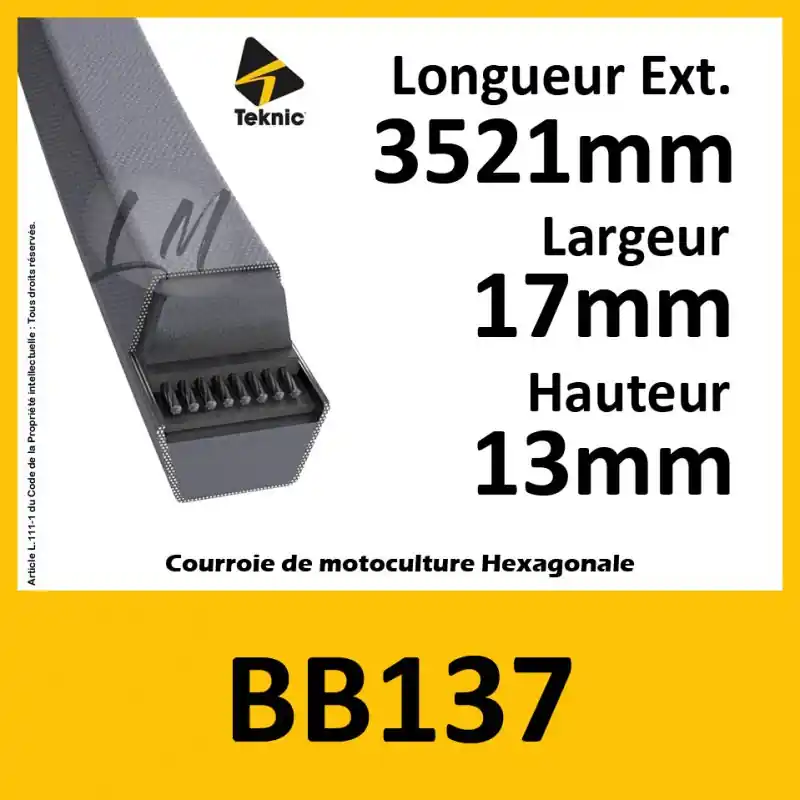 Achat Immédiat Courroie Hexagonale BB137 – Teknic