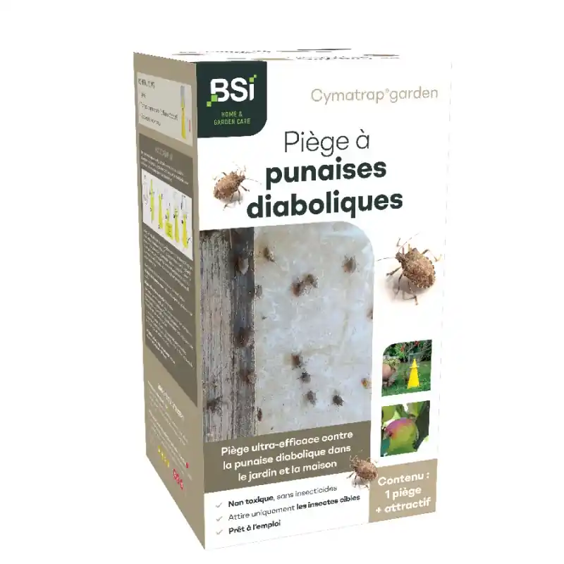 Commander Maintenant Piège à Punaise Diabolique Marbrée – Solution Efficace contre les punaises du jardin BSI