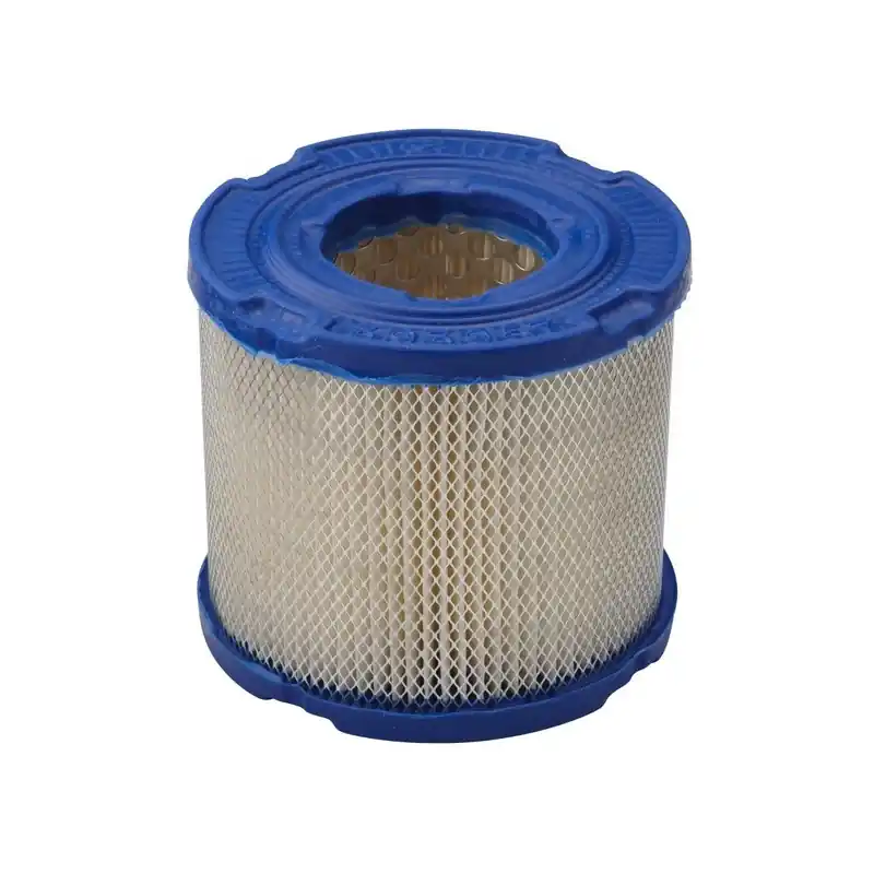 Filtre à air moteur Briggs Stratton Bon Plan