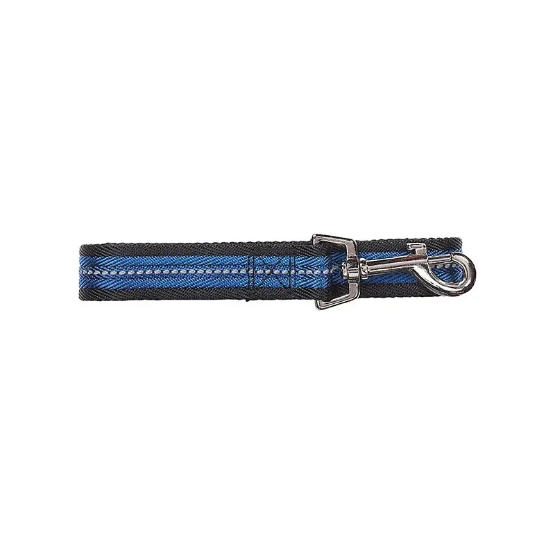 LAISSE RÉFLÉCHISSANTE BLEUE – PAWISE Expédition Rapide