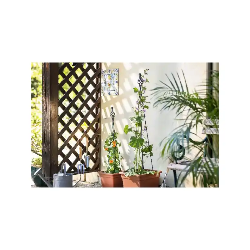 Obélisque pliable zwirbel 120 – support de plante pratique et élégant pour votre jardin Offre Du Jour