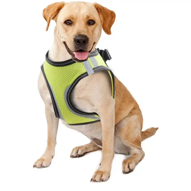 Haute Qualité HARNAIS DE SECURITE POUR CHIEN T.M