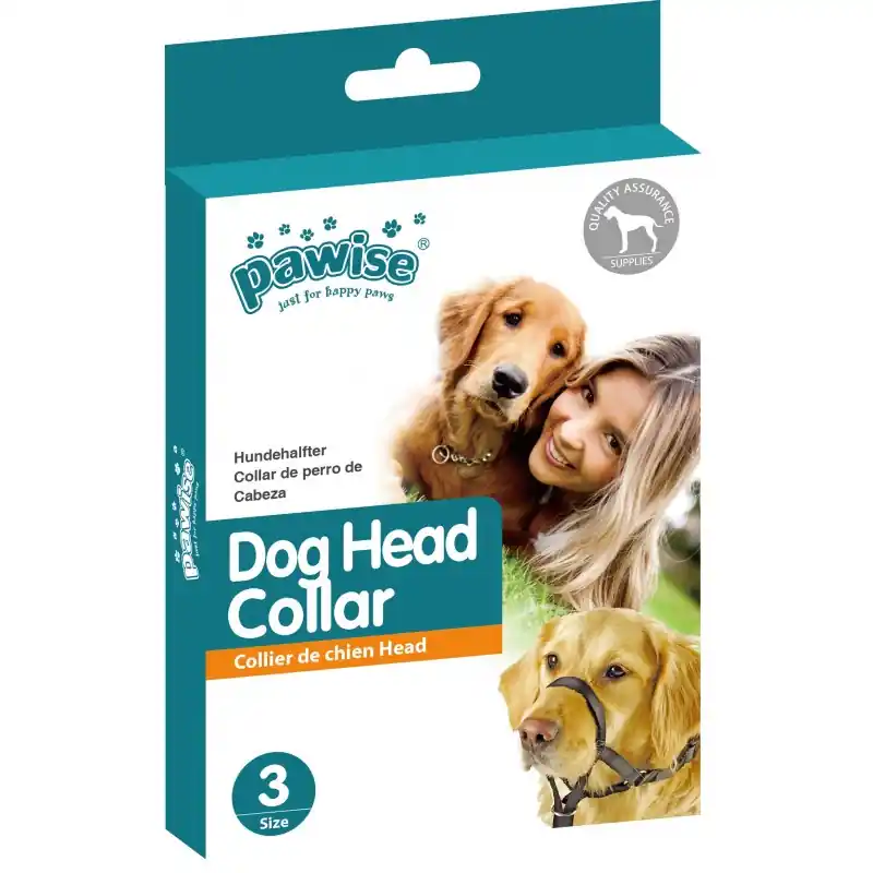 Quantité Limitée COLLIER MUSEAU EDUCATIF CHIEN N2