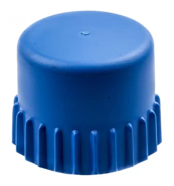 Dernière Chance Bouton T35