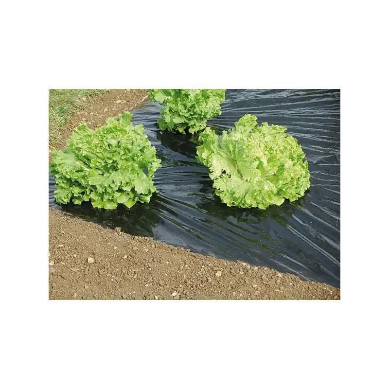 Film Paillage Jardin 1,40x10m - Protection Sols et Cultures Durables Expédié Aujourd'hui