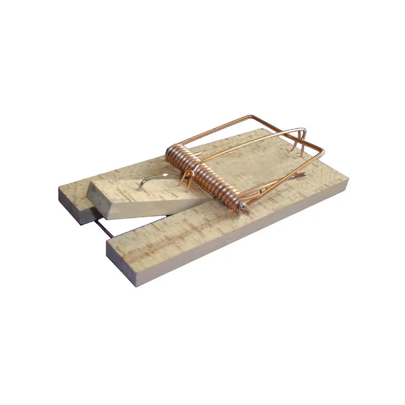 Produit De Marque Tapette à souris en bois écologique – lot de 5 unités