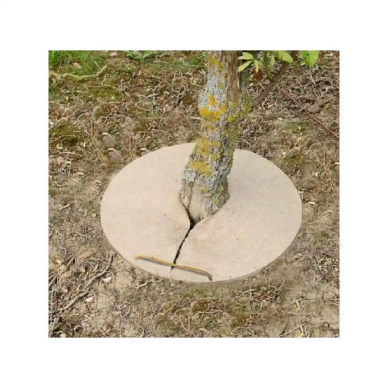 Remise Disque de chanvre - o20cm