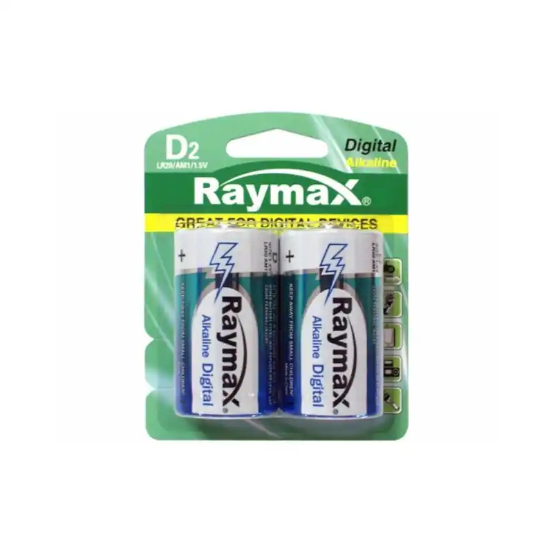 PILE RAYMAX DIGITAL LR20 X2 Bon Plan