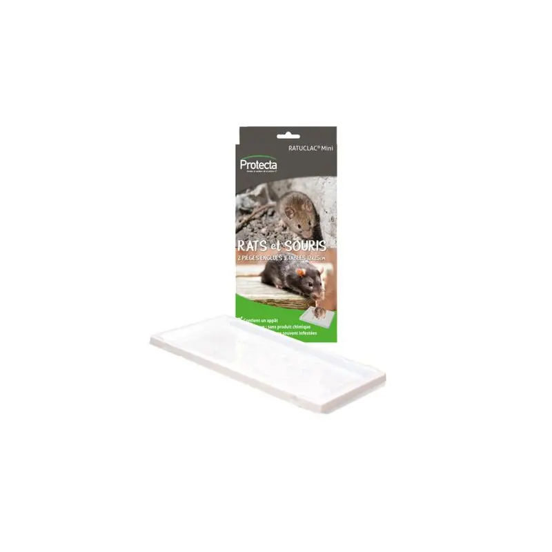 Vente Flash Kit phéromone pour pyrale du buis avec piège efficace anti-insectes