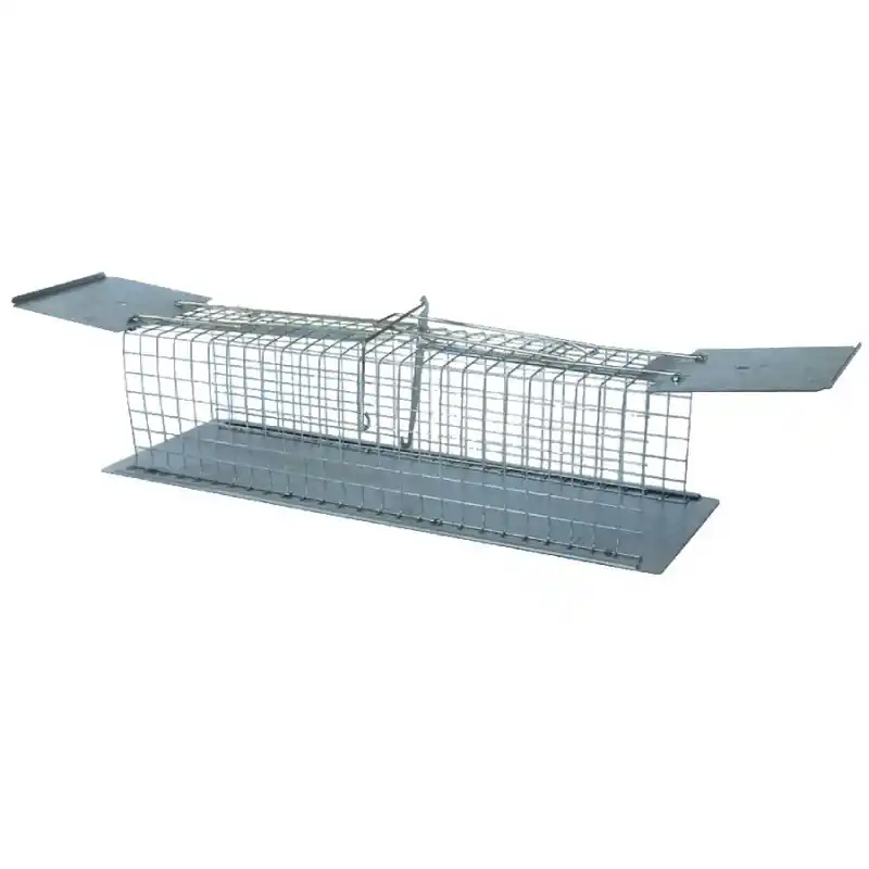 Commande En Gros Nasse à Rats 2 Entrées – Piège Efficace pour Capturer les Rongeurs en Toute Sécurité BSI
