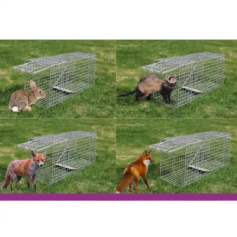 /Nasse xxl pliable pour lapins, renards, fouines et martres – sécurité et praticité Prix Réduit