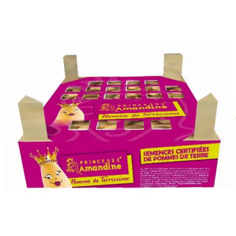 CLAYETTE POMME DE TERRE 60 PLANTS AMANDINE – CALIBRE 25/30 Meilleur Prix