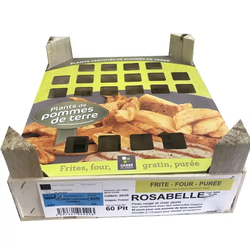Prix Promo CLAYETTE POMME DE TERRE 60 PLANTS ROSABELLE - CALIBRE 25/35