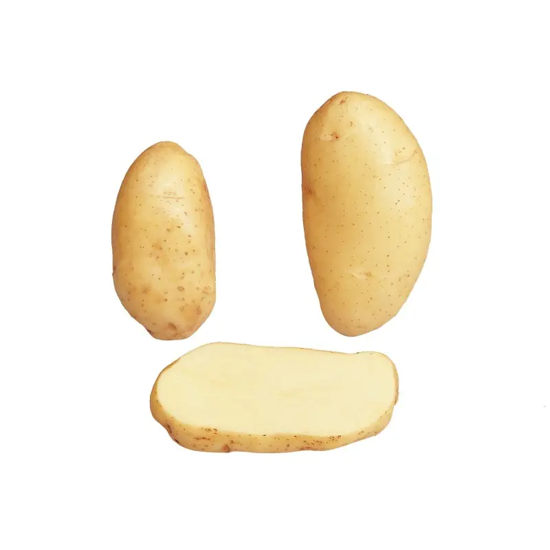 Commander Vite SAC 1.5KG POMME DE TERRE SPUNTA – CALIBRE 28/35