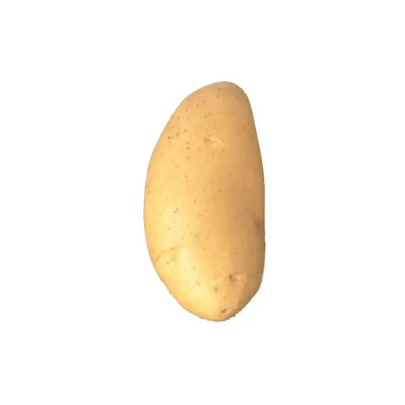 Vente Flash SAC POMMES DE TERRE SPUNTA 35/45 5KG