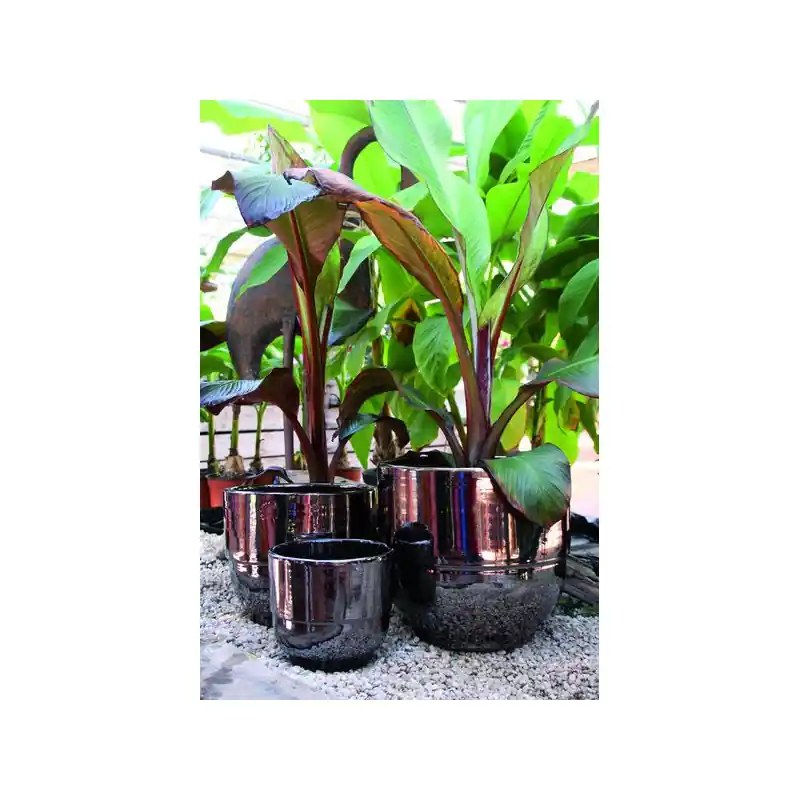 Acheter Direct Vase rebord metal d21 h19, poterie d‘albi en terre-cuite