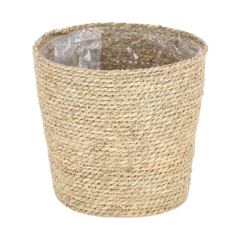 Pot de Fleur Nardus Stricta 25cm - Élégance Naturelle pour Décoration de Jardin et Maison Bon Marché