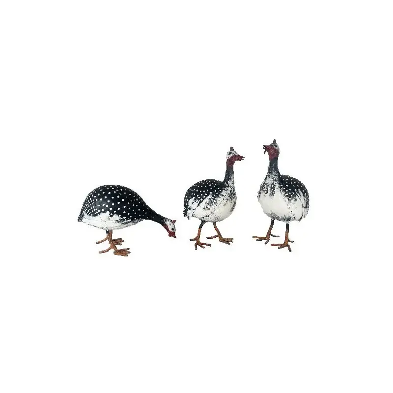 Nouvelle Collection Pintadeau picore