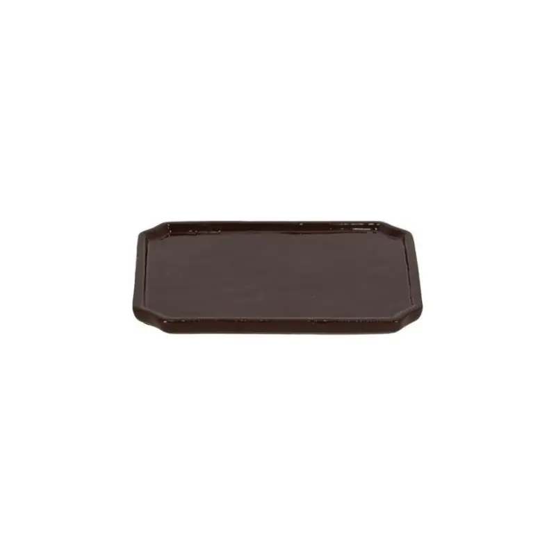 Satisfait Ou Remboursé Soucoupe Rectangulaire pour Bonsai - Support Élégant et Pratique pour Plantes