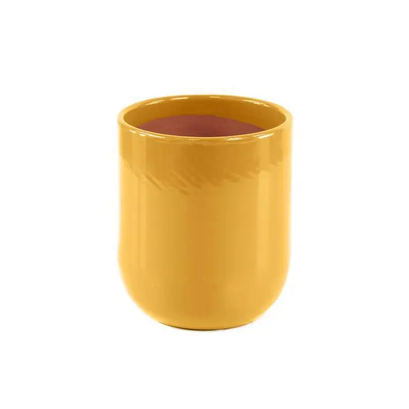 /SAINTROPP A FLEUR DE PEAU D20 H21 Dernière Chance