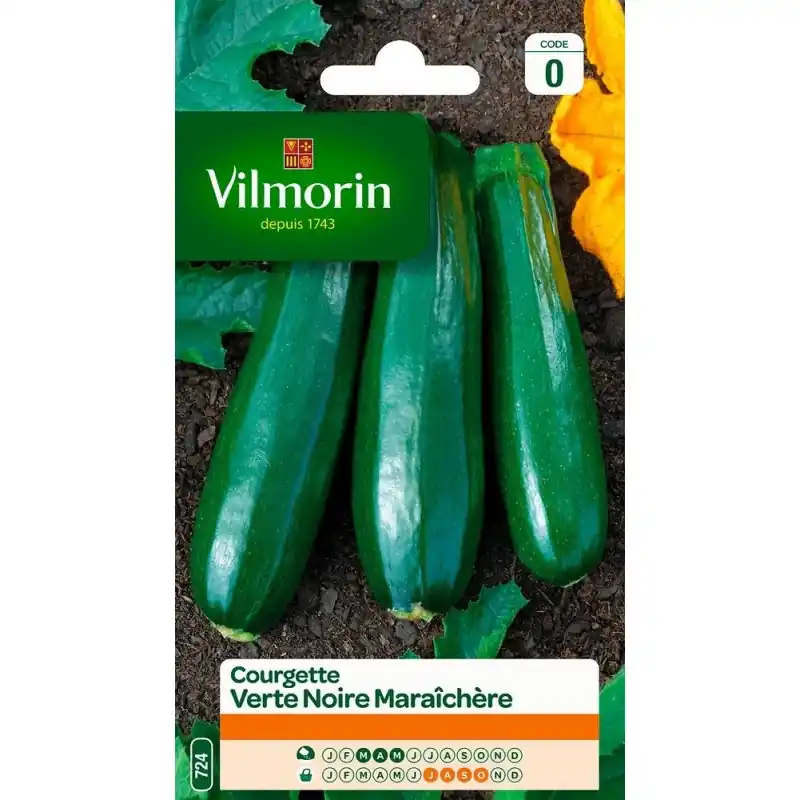 COURGETTE VERTE NOIRE MARAICHÈRE Affaire À Saisir