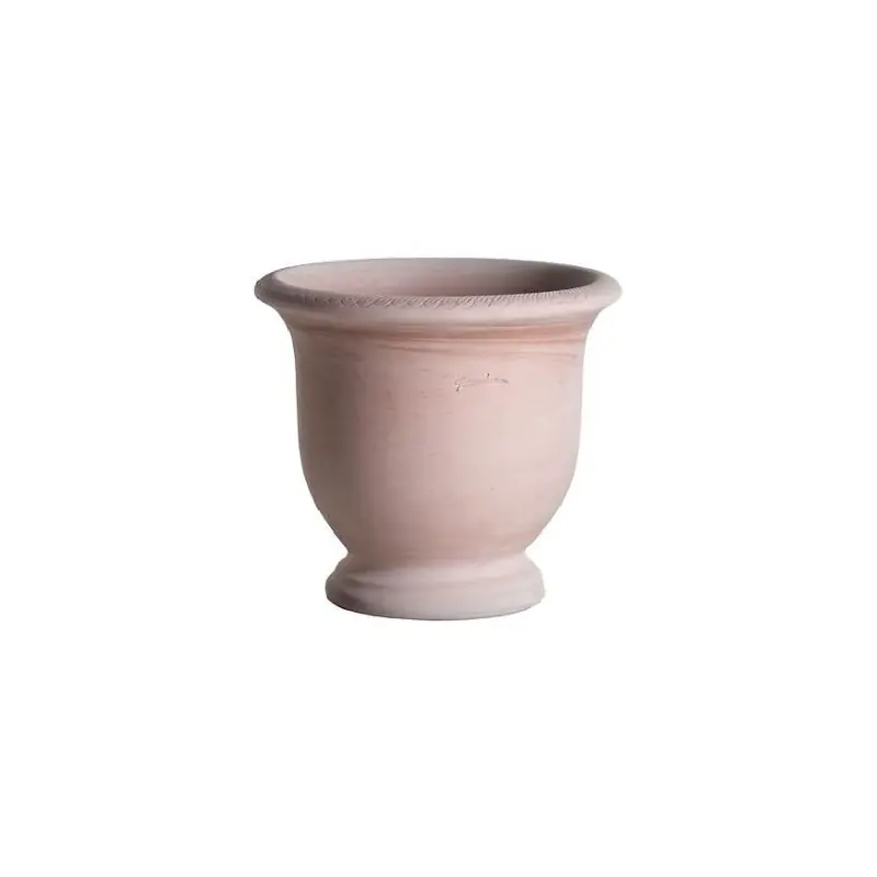 Populaire Coupe ederra 15cm Goicoechea, pays basque