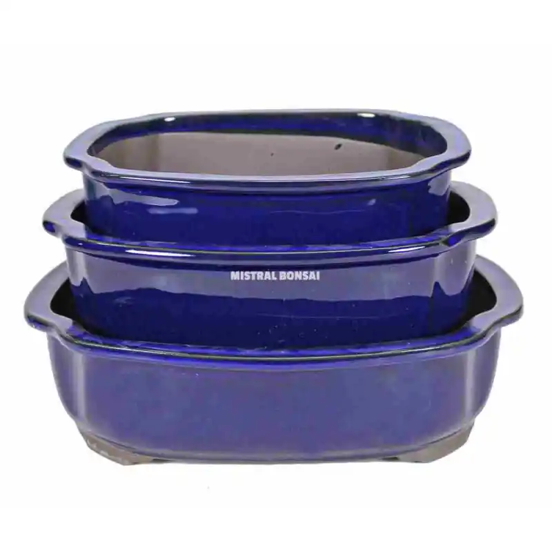 Vente Flash Pot oval pour bonsai bleu 31×27.5cm