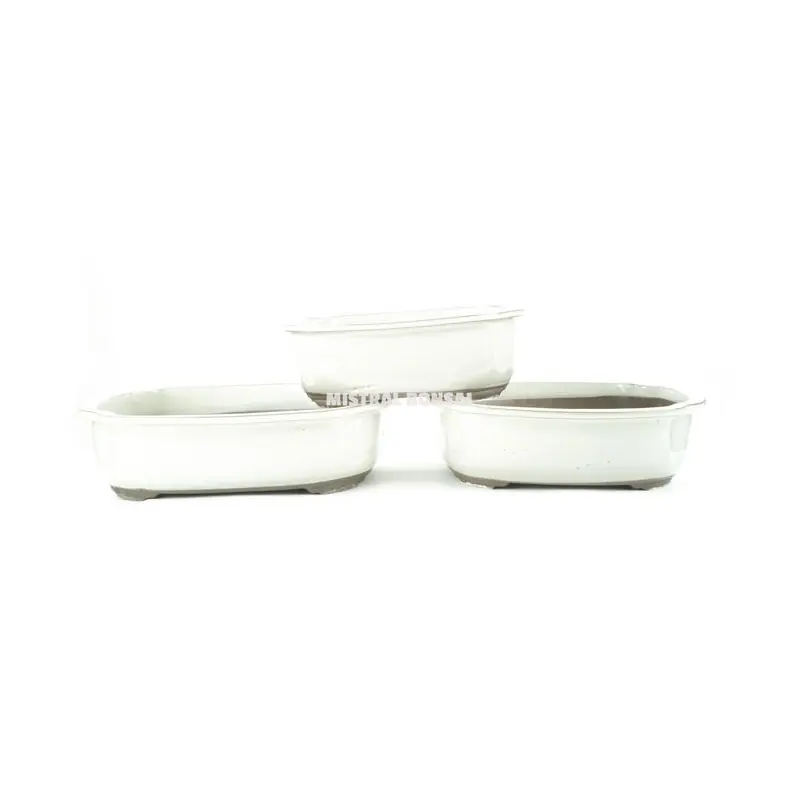 Expédition Rapide Pot oval pour bonsai creme 31×27.5cm