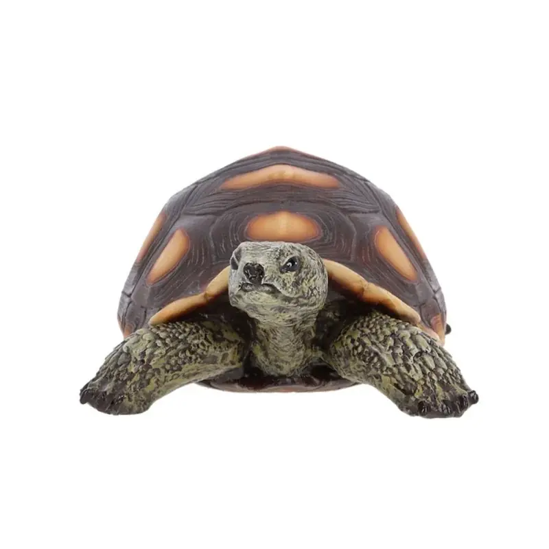 Tortue déco élégante – Décoration intérieure originale et tendance Promotion Saisonnière
