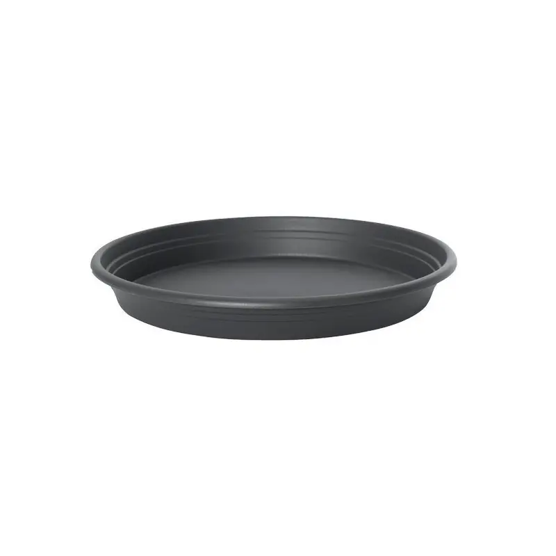 Soucoupe Ronde en Plastique Florus 17cm Anthracite – Idéale pour vos Plantes Décoratives Offre Du Jour
