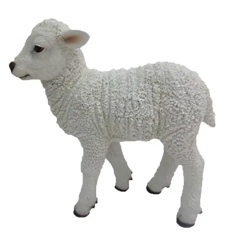 Acheter En Ligne Agneau debout m