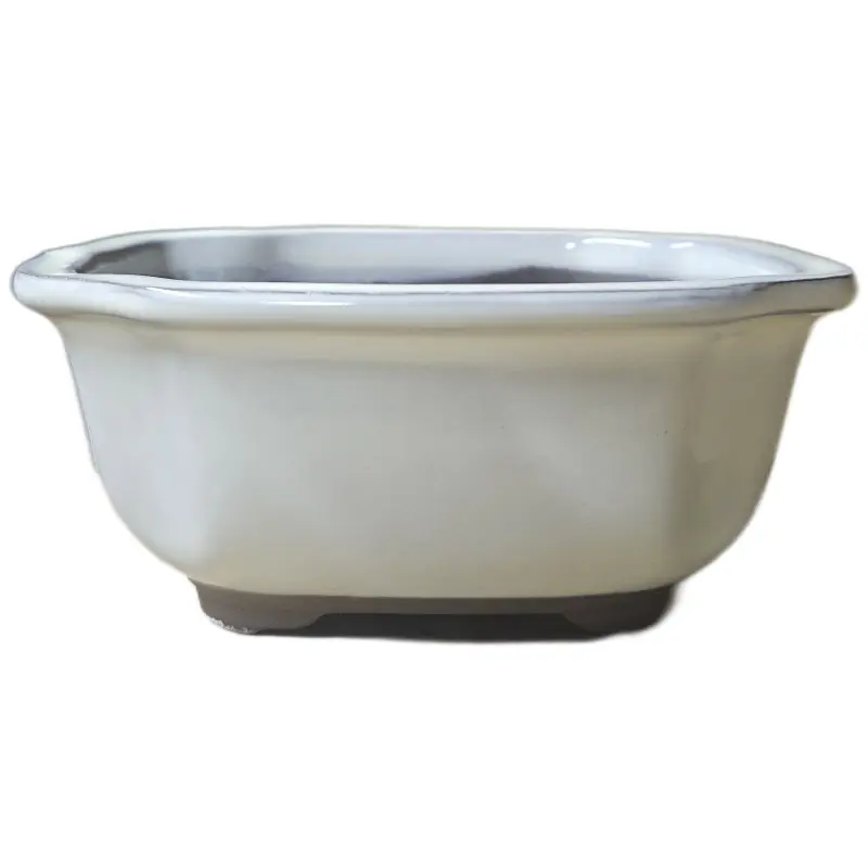 Pot ovale pour bonsai fleur creme PM Must-Have