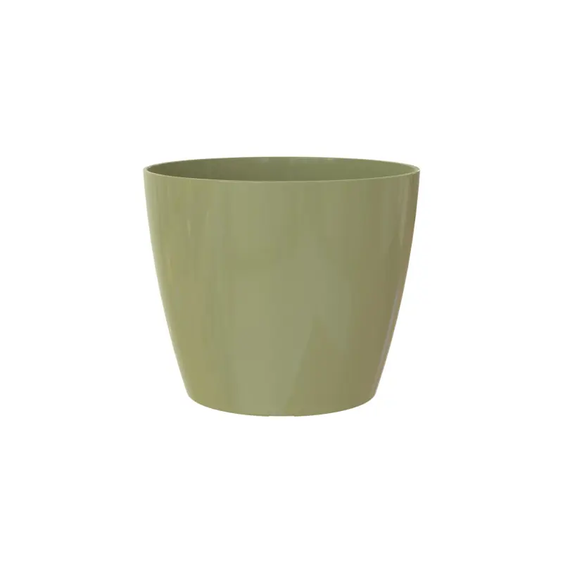 /POT SAN REMO 6CM VERT EUCALYPTUS Réduction