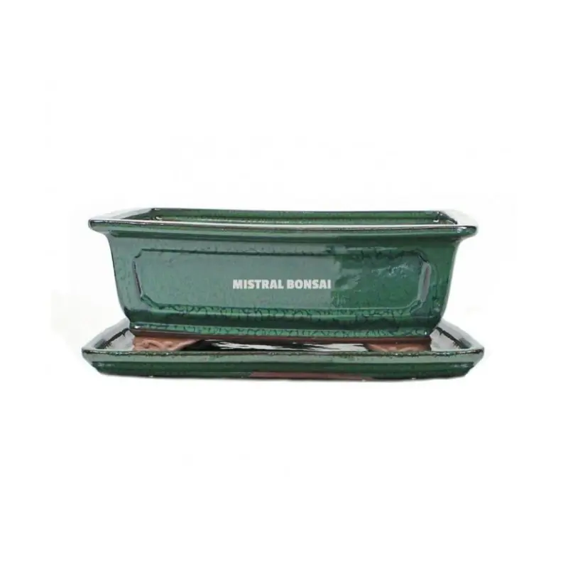 POT RECTANGULAIRE BASIC CLASS 20CM VERT Promotion Saisonnière
