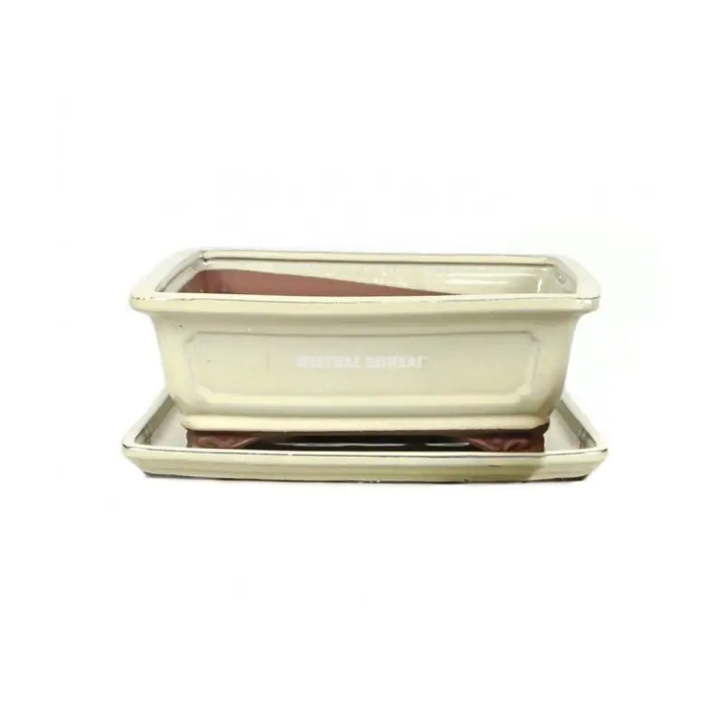 Paiement Sécurisé POT BASIC CLASS+PLATEAU 20CM CREME