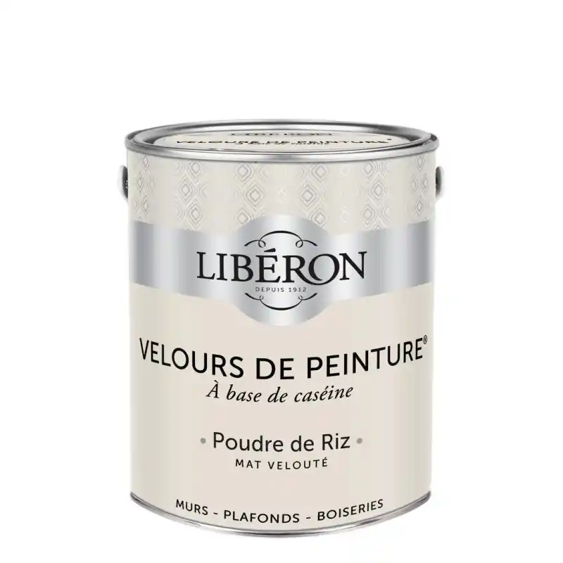 Solde VELOURS DE PEINTURE POUDRE DE RIZ 2.5L