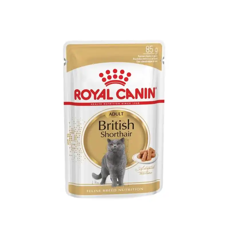 ALIMENT HUMIDE CHAT BRITISH SHORTHAIR 85G ROYAL CANIN Quantité Limitée