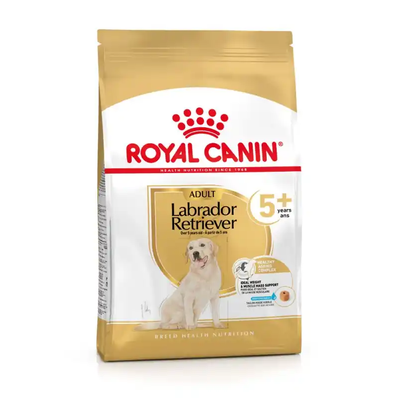 CROQUETTES CHIEN LABRADOR RETRIEVER 5+ – 12KG ROYAL CANIN Promotion Saisonnière