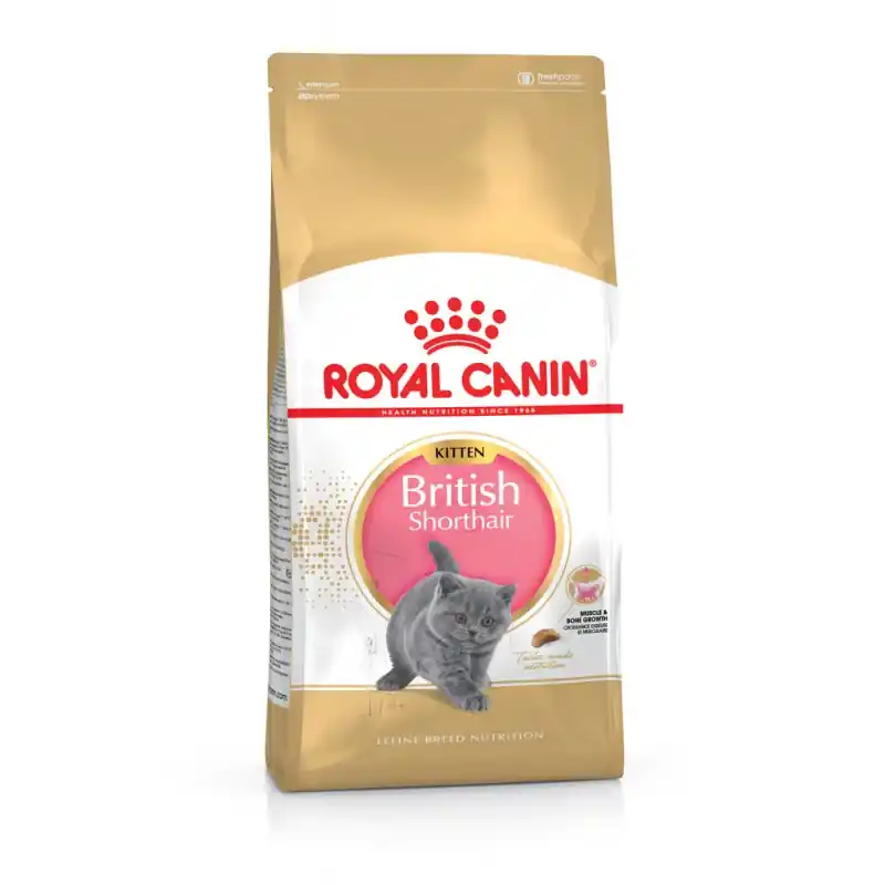 Prix Bas CROQUETTES CHATON BRITISH SHORTHAIR 2KG ROYAL CANIN