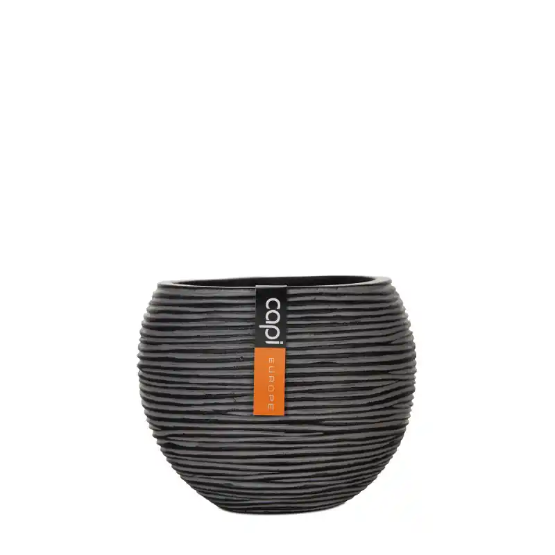 Offre Limitée Pot Boule Noir 18x15 cm - Élégance et Style pour Votre Décoration intérieure - de Capi