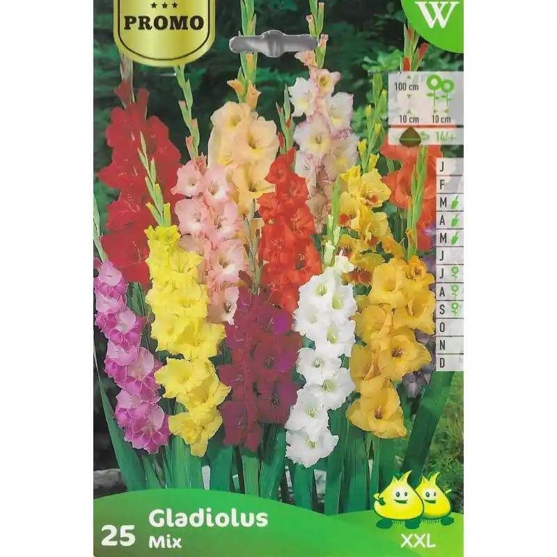 Remise SACHET GLAIEULS x25 – LES DOIGTS VERTS