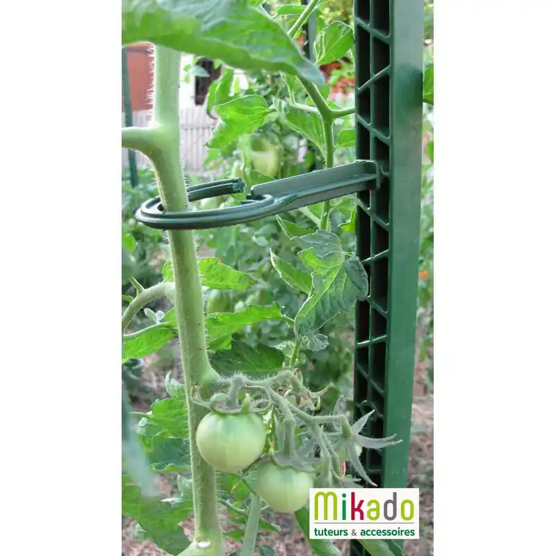 TUTEUR MIKADO VERT 150 CM – MIKADO Promotion