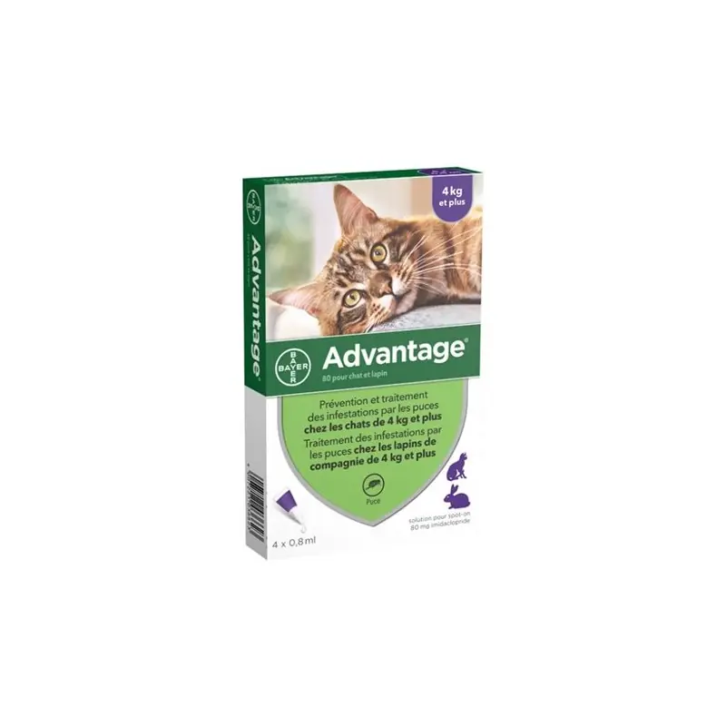 Prix Cassé 4 PIPETTES ANTIPARASITAIRES +4KG - BAYER ADVANTAGE