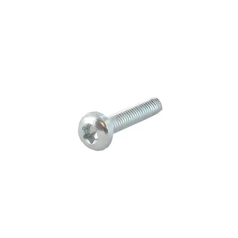 Vis TORX M4 x 20mm GGP – CASTELGARDEN 112735645/0 Réduction