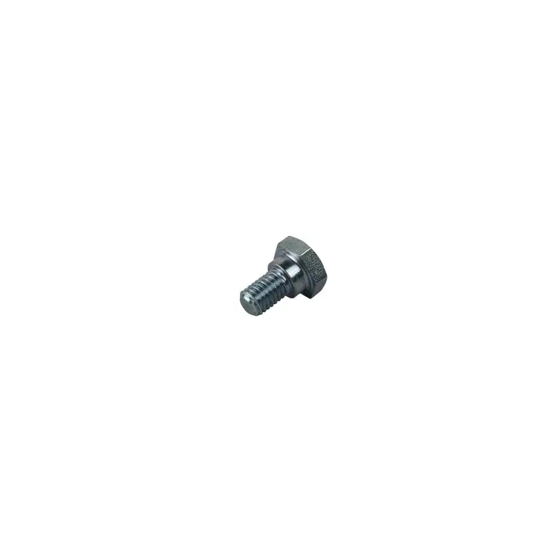 Seulement Aujourd&rsquo;hui Vis GGP – CASTELGARDEN 1134-4479-01