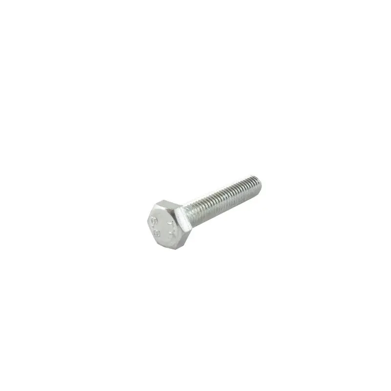 Achat Immédiat Vis à tête hexagonale GGP – CASTELGARDEN 9997-0840-16