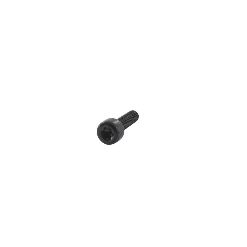 Vis à tête creuse Torx M5x18mm GGP – CASTELGARDEN 123878081/0 Acheter En Ligne