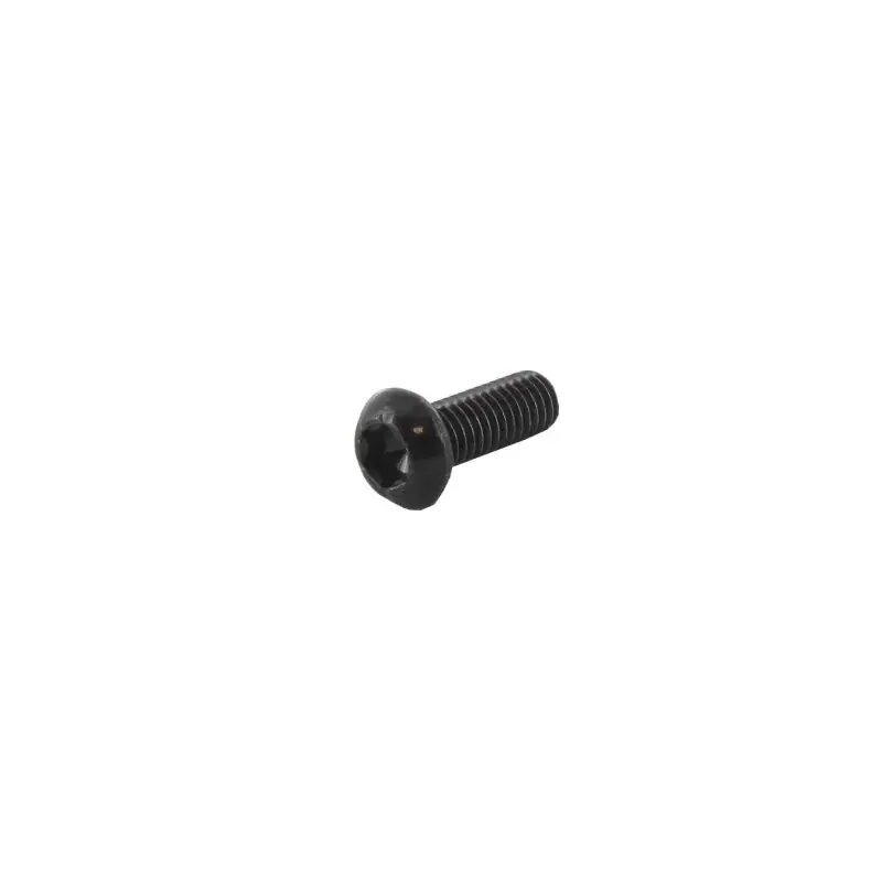 Promotion Saisonnière Vis tête Torx M6 x 15mm GGP – CASTELGARDEN 123878109/0