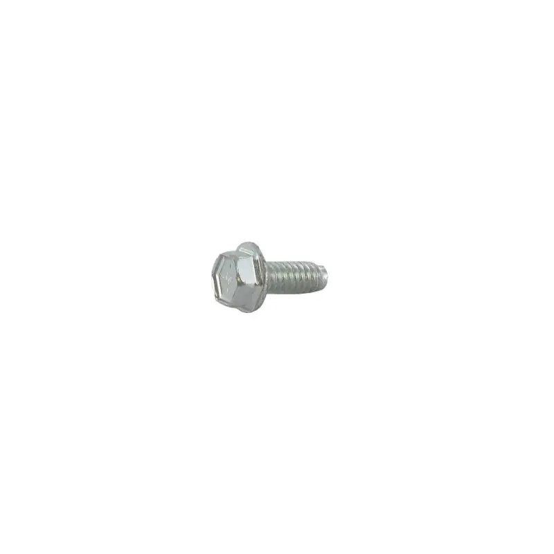 Vente Directe Vis de fixation 6 x 15 mm BRIGGS ET STRATTON 691108