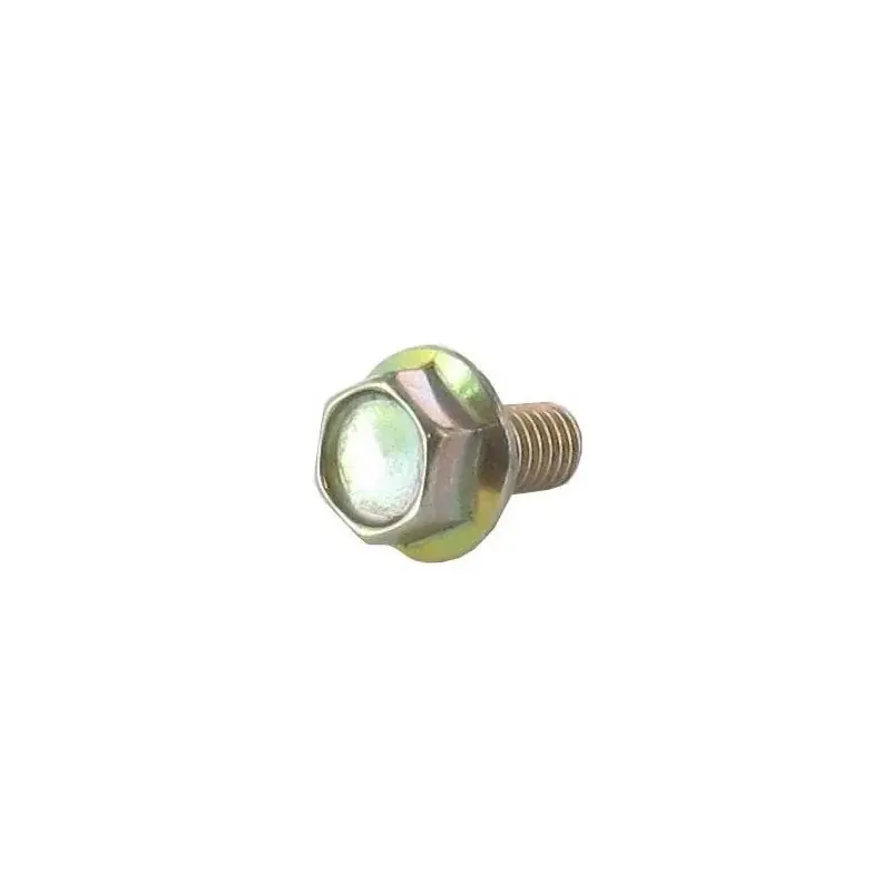 Vis de fixation BRIGGS ET STRATTON 690664 Livraison Express